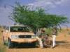 Al Maha Desert Resort & Spa 